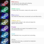 7 Color LED Facial Mask